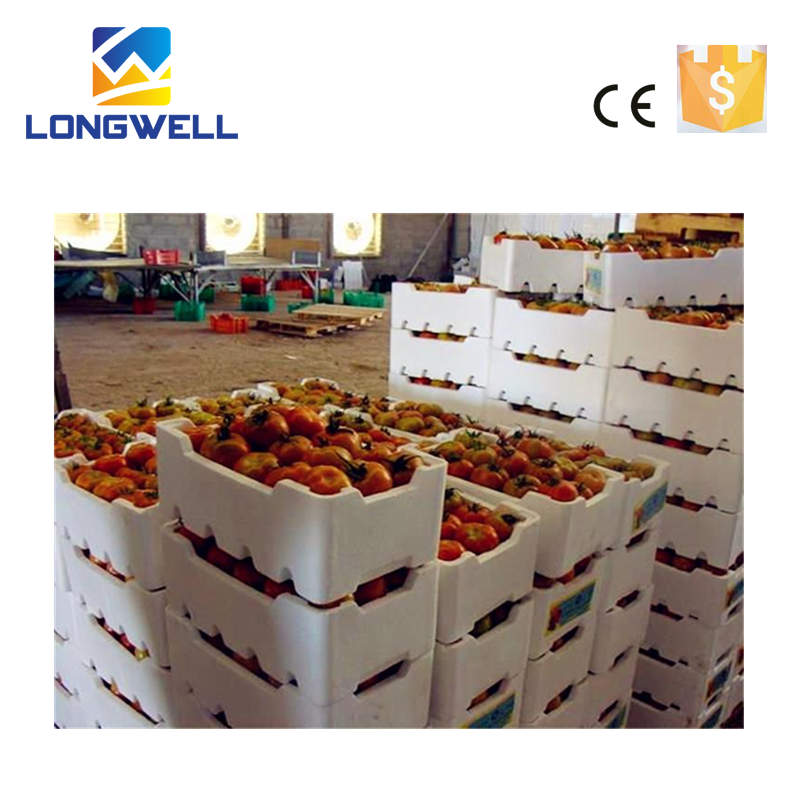 EPS Vegetable Box Machine Factory